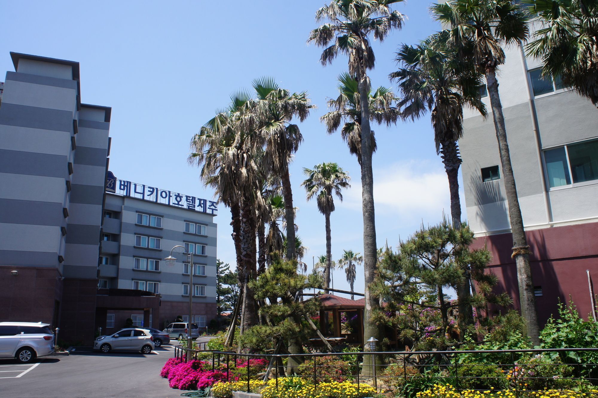 Benikea Hotel Jeju Buitenkant foto