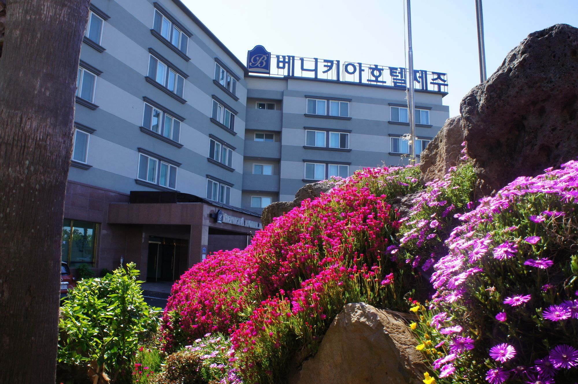 Benikea Hotel Jeju Buitenkant foto